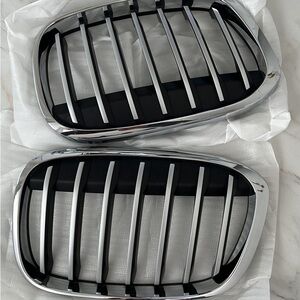 Original BMW Grills